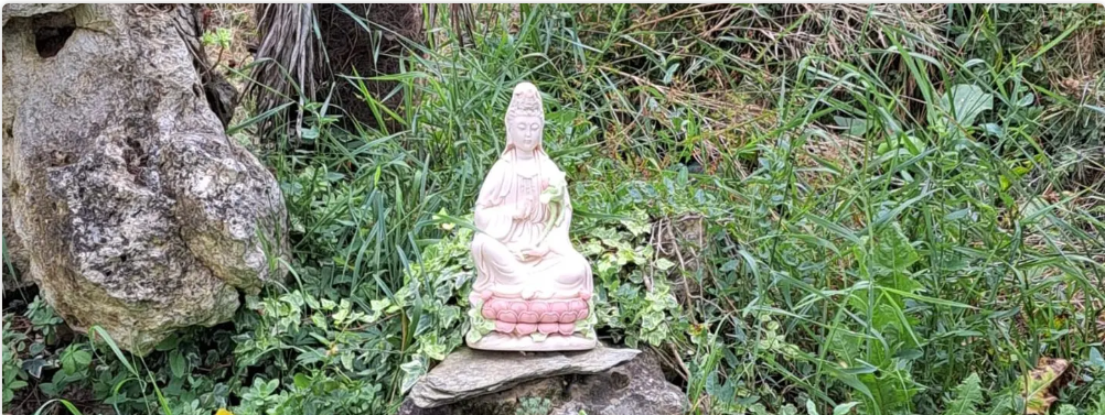Who qualifies for green bodhisattva? Ksitigarbha as green role model of eco-Buddhism